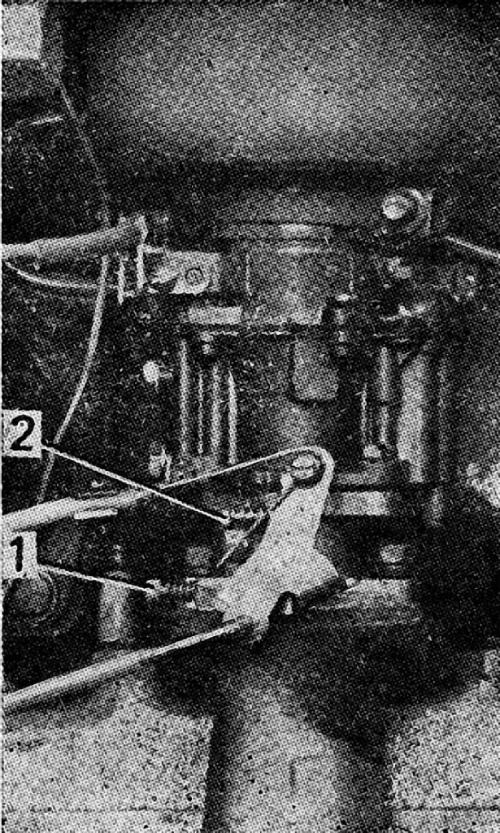 2d550043a21e3ffa3ad6238ab5b9d019 (1)-min.jpg